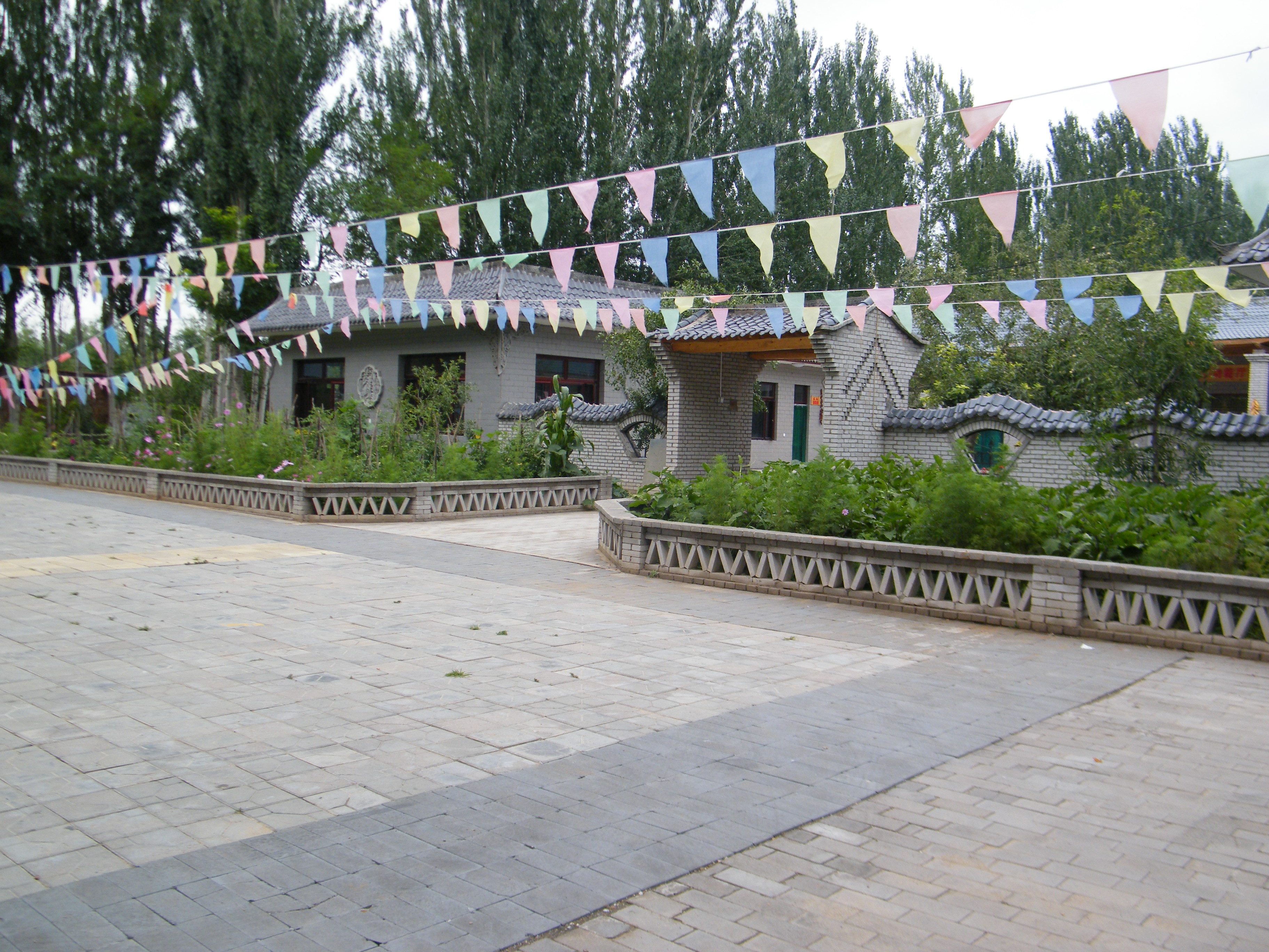 DSCF9260.JPG